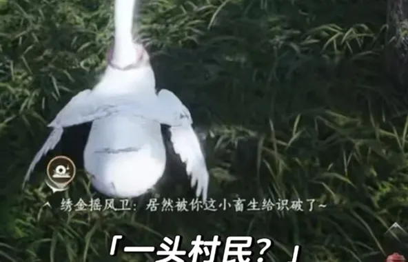 燕云十六声怪盗一只鹅成就怎么做-怪盗一只鹅隐藏成就攻略 角色展示 燕云十六声怪盗一只鹅成就怎么做-怪盗一只鹅隐藏成就攻略 游戏攻略 角色展示