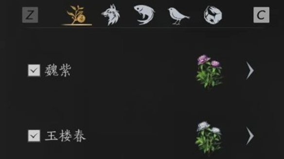 燕云十六声玉楼春及魏紫快速采集方法2